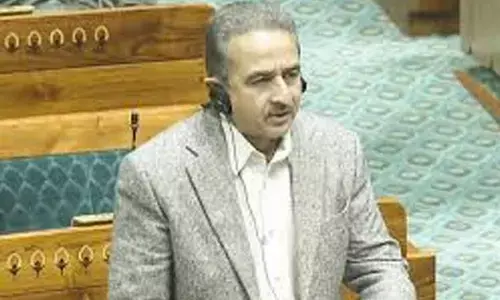 9L Indians gave up citizenship in last 5 year: MEA in RS