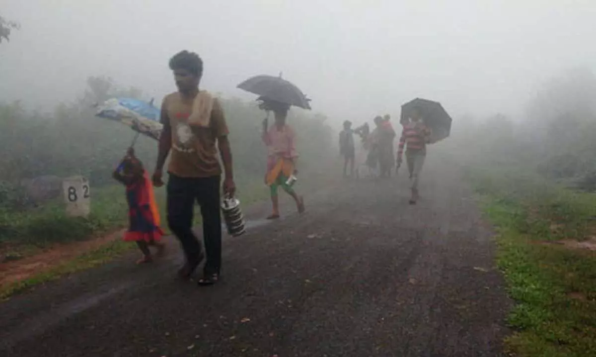 Severe Cold Wave Hits Alluri Agency and Adilabad Districts Severe Cold Wave Hits Alluri Agency and Adilabad Districts