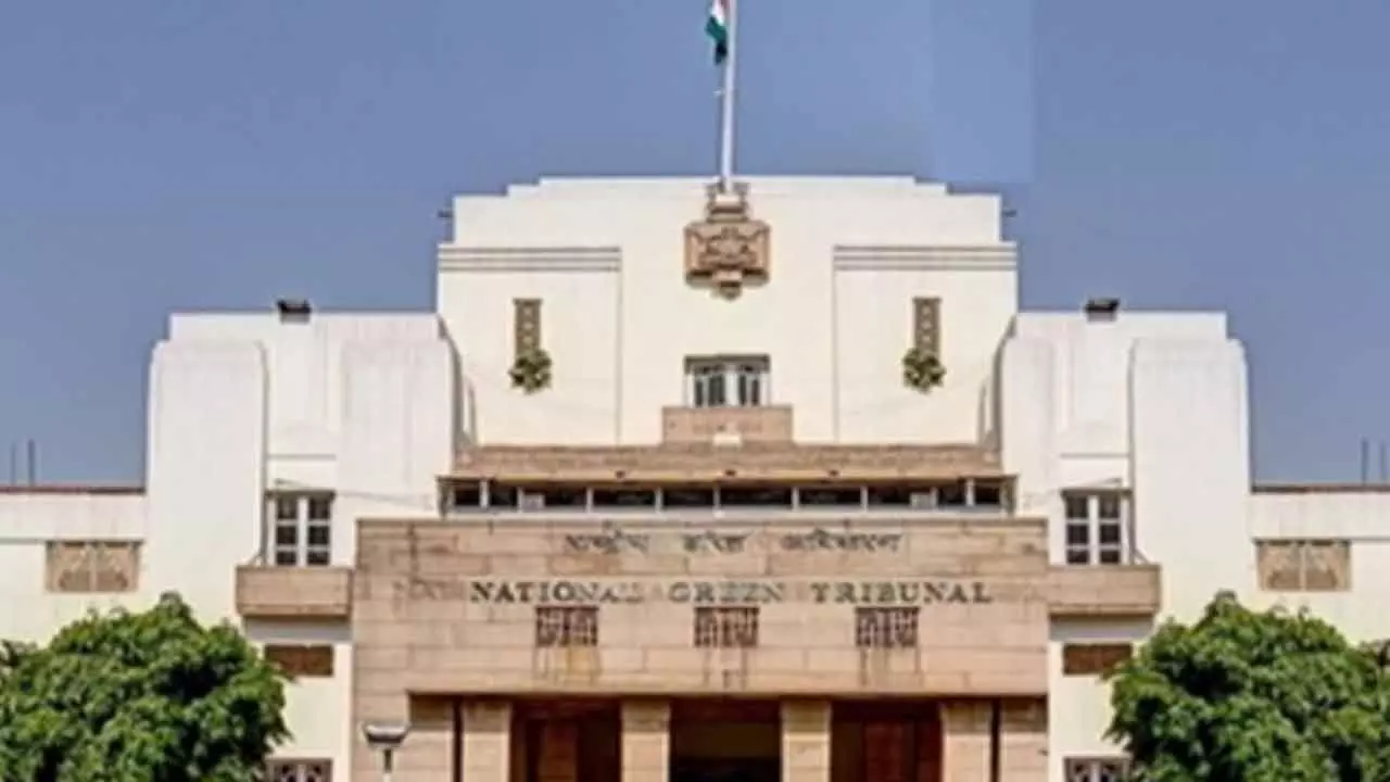 NGT closes suo moto case over sewage in Delhi’s Satpula Lake after water quality improves NGT closes suo moto case over sewage in Delhi’s Satpula Lake after water quality improves