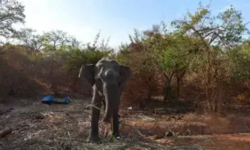 Sri Lanka to revive tourism after Cyclone Ditwah Sri Lanka to revive tourism after Cyclone Ditwah