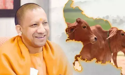 CM Yogi-led UP govts Nandini Krishak Samriddhi Yojana paves the way for prosperity CM Yogi-led UP govts Nandini Krishak Samriddhi Yojana paves the way for prosperity