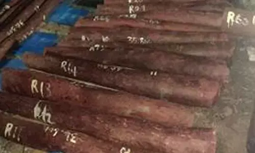 DRI arrests 4 persons, foils bid to export Rs 6.26 crore red sanders DRI arrests 4 persons, foils bid to export Rs 6.26 crore red sanders
