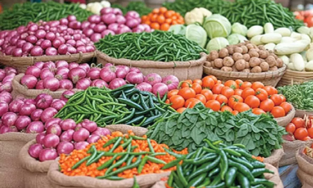 WPI inflation remains negative for second month at (-) 0.32% in Nov WPI inflation remains negative for second month at (-) 0.32% in Nov