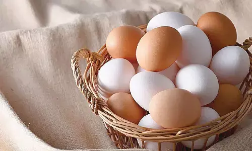 K’taka to probe ‘genotoxic’ claims in egg brand: Minister K’taka to probe ‘genotoxic’ claims in egg brand: Minister