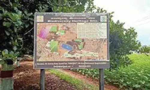 Forest Science Centre launched to boost conservation and research Forest Science Centre launched to boost conservation and research