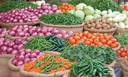 WPI inflation remains negative for second month at (-) 0.32% in Nov WPI inflation remains negative for second month at (-) 0.32% in Nov