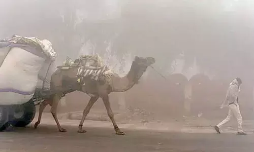 Dense fog blankets parts of Rajasthan Dense fog blankets parts of Rajasthan