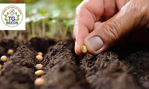 New seed policy in TG soon New seed policy in TG soon