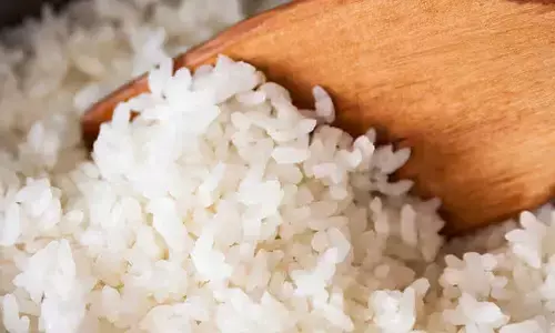 Warm Rice or Cold Rice: Which Choice Supports Better Gut Health and Overall Wellness? Warm Rice or Cold Rice: Which Choice Supports Better Gut Health and Overall Wellness?