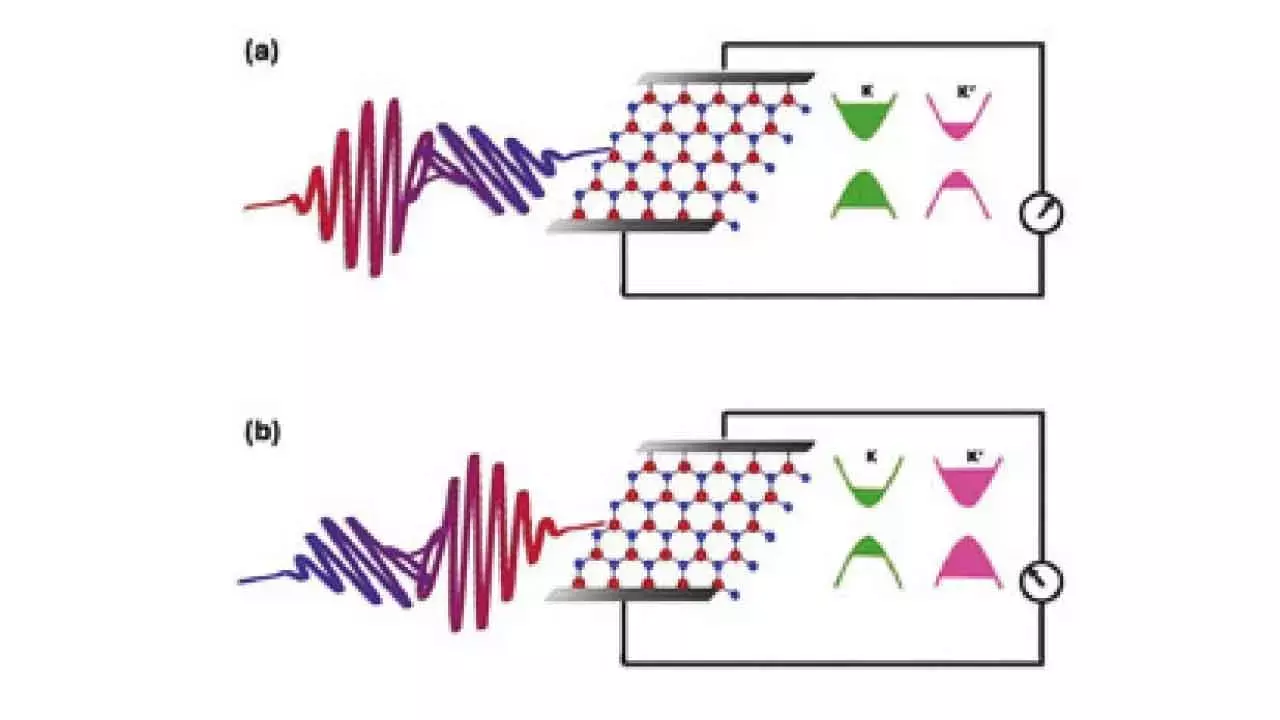 Single light pulse can control quantum states in 2D materials: IIT Bombay Single light pulse can control quantum states in 2D materials: IIT Bombay