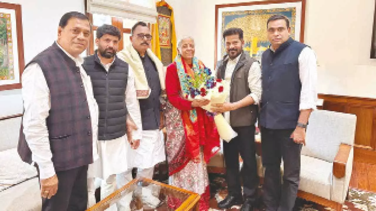 Borrowings for education sector: CM Revanth urges Sitharaman to exempt FRBM limit Borrowings for education sector: CM Revanth urges Sitharaman to exempt FRBM limit