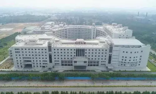 GITAM University seeks HC stay on Rs 118-cr TGPDCL dues