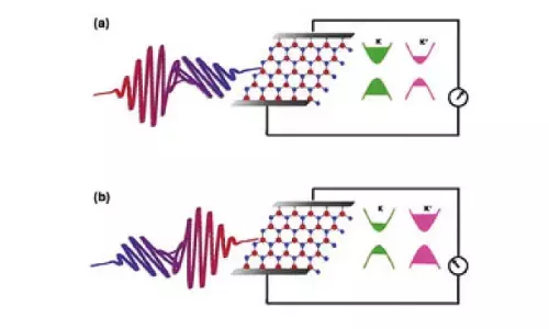 Single light pulse can control quantum states in 2D materials: IIT Bombay