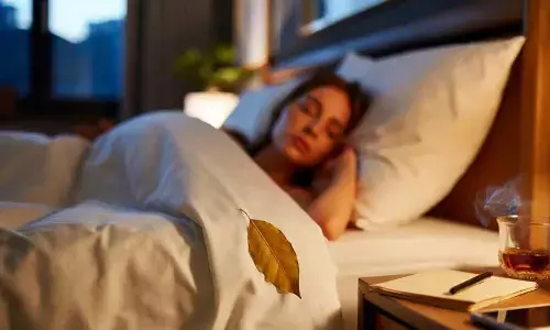 Bay Leaf Under the Pillow: TikTok’s Old-School Sleep Hack Explained