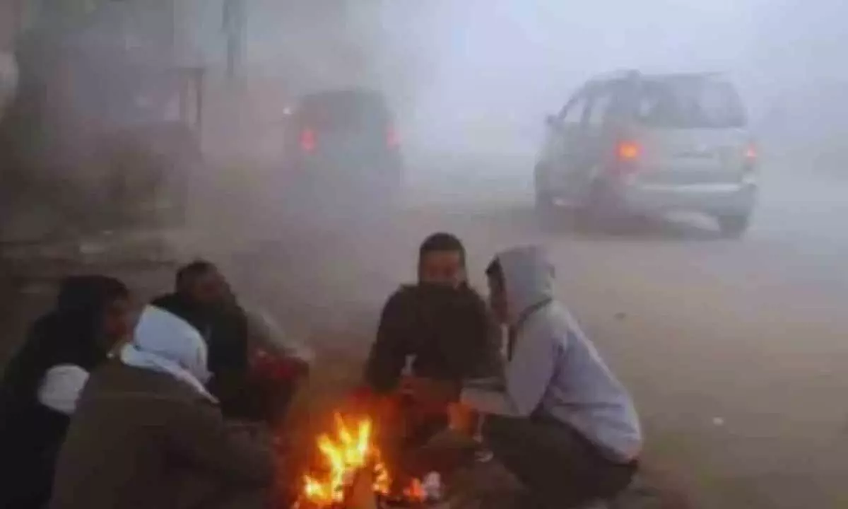 Cold Wave Alert for Andhra Pradesh and Yanam Cold Wave Alert for Andhra Pradesh and Yanam