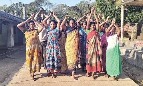 Monkey menace, a serious concern for Anakapalli people Monkey menace, a serious concern for Anakapalli people