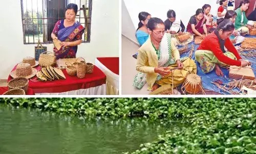 Majuli women show the way…Turning invasive water hyacinth into useful handicraft items Majuli women show the way…Turning invasive water hyacinth into useful handicraft items