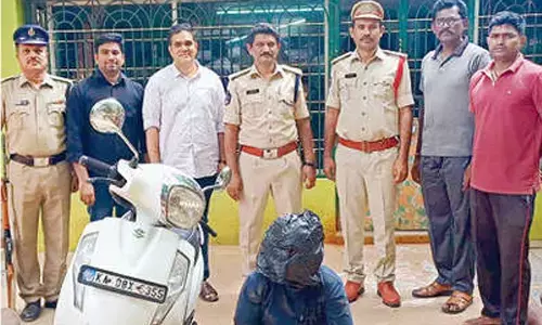 6 red sanders logs seized 6 red sanders logs seized