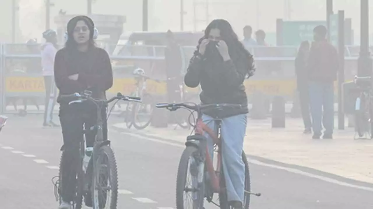 Common air pollutants may impair mood, memory in adolescents: Study Common air pollutants may impair mood, memory in adolescents: Study