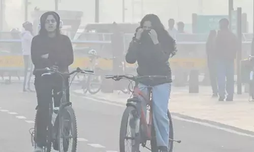 Common air pollutants may impair mood, memory in adolescents: Study