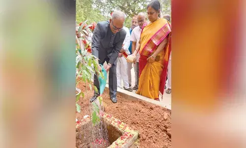 HC Judge plants saplings in court premises
