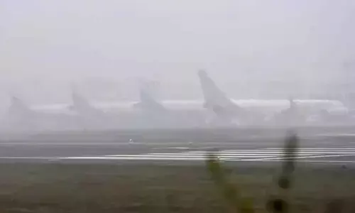 Dense Fog Disrupts Travel In Delhi: Nearly 100 Flights Cancelled, Hundreds Delayed, Trains Affected