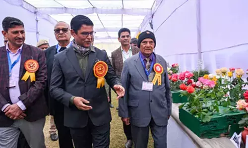 NDMC’s Winter Rose Show ends with celebration of magnificent blooms and fragrances