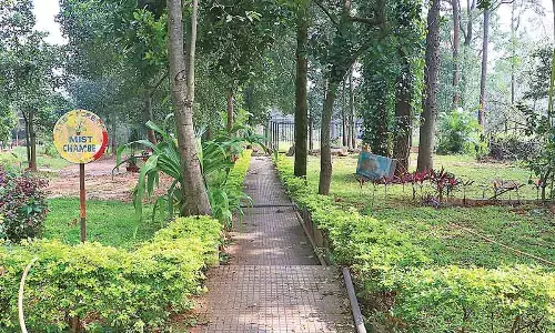 Medicinal garden to take root in Tirumala Hills