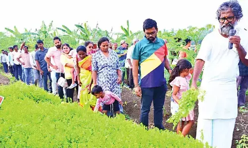 Farmers urged to adopt natural farming
