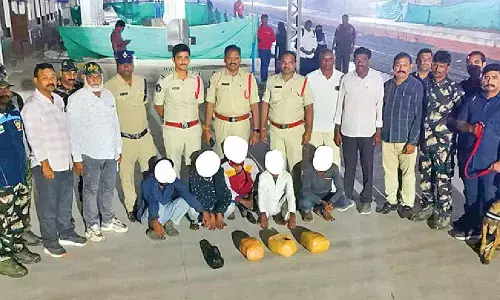 Five held, 7 kg ganja seized