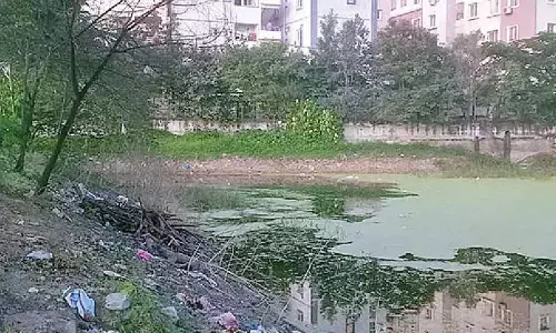 Devotees pray for protection of temple pond in Kothaguda