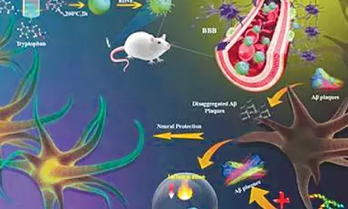 INST researchers develop new nanoparticle-based multifunctional therapy for Alzheimer’s