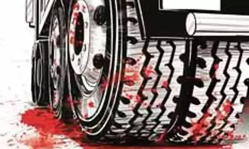 Woman mowed down by grandson