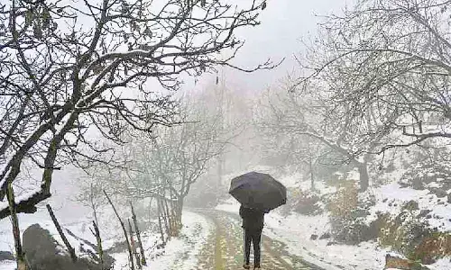 Snow, rain lift min temp in Kashmir; Srinagar records warmest