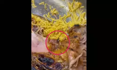 Cockroach found in mandi at popular Malakpet eatery