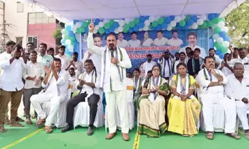 Rejig of mandals takes a political turn in Nellore