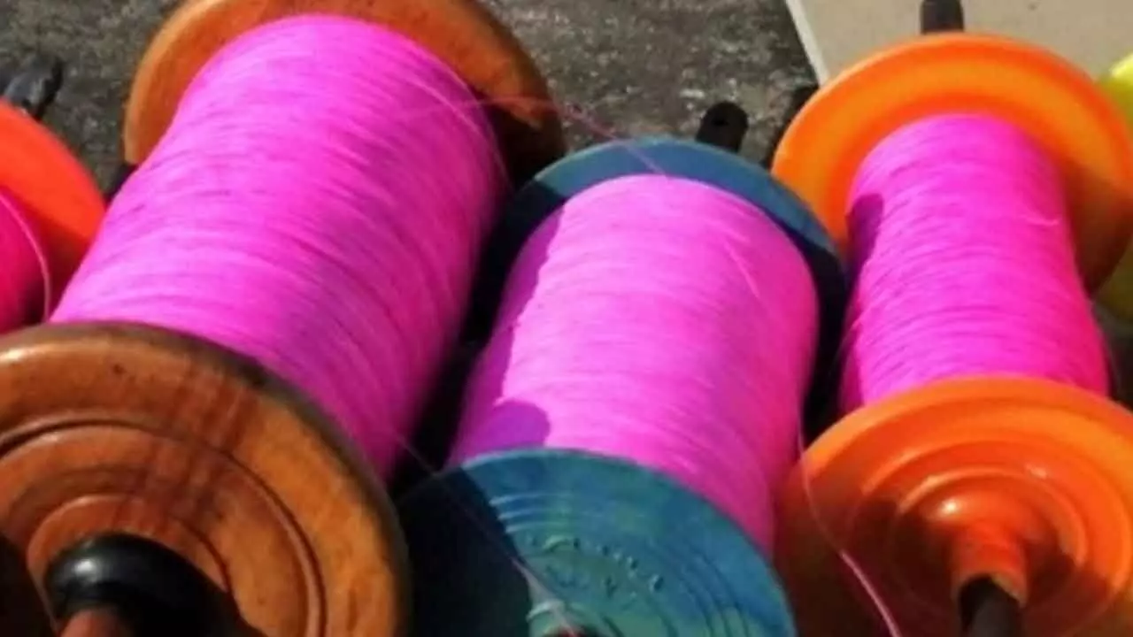 Chinese kite string banned in Bhopal amid rising injury reports Chinese kite string banned in Bhopal amid rising injury reports