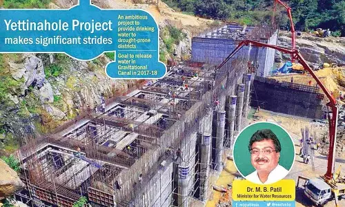 Govt admits forest violations in Yettinahole project implementation