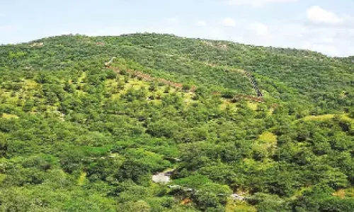 Centre imposes full ban on new mining leases in Aravallis