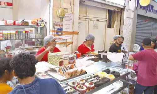 Festive spirit sparks Christmas cake rush across city bakeries