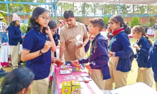 Students promoting sustainability and social responsibility