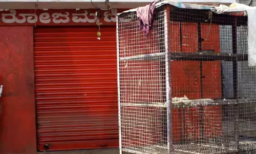 TN steps up surveillance after bird flu outbreak in neighbouring Kerala