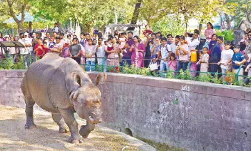 Festive crowds flock to Nehru Zoological Park on Christmas
