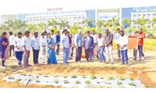 Govt lays ambitious roadmap to boost farmers’ income by 2047