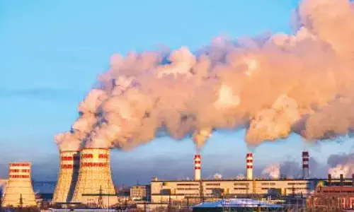 Thermal plants’ biomass shortfall due to supply challenges: APP