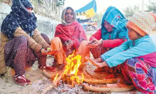 Punjab, Haryana reel under intense cold