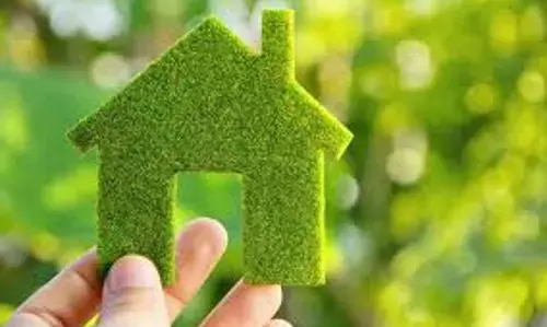 Measuring the Green Premium: How Eco-Friendly Communities Impact Long-Term Property Value