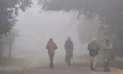 After weeks of winter chill, TG to bask in milder days