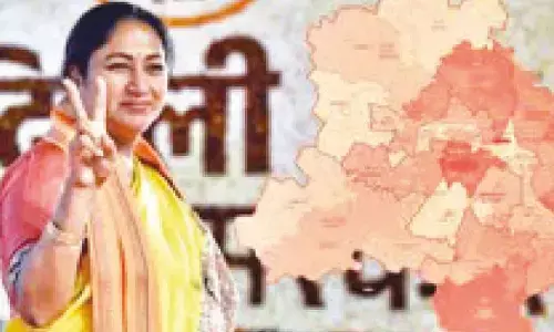 Delhi now has 13 districts