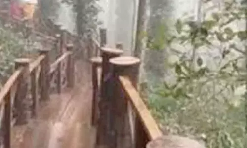 Visiting hours revised at wooden bridge in Araku